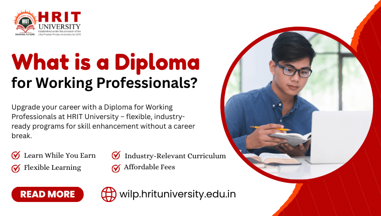 What is a Diploma for Working Professionals?